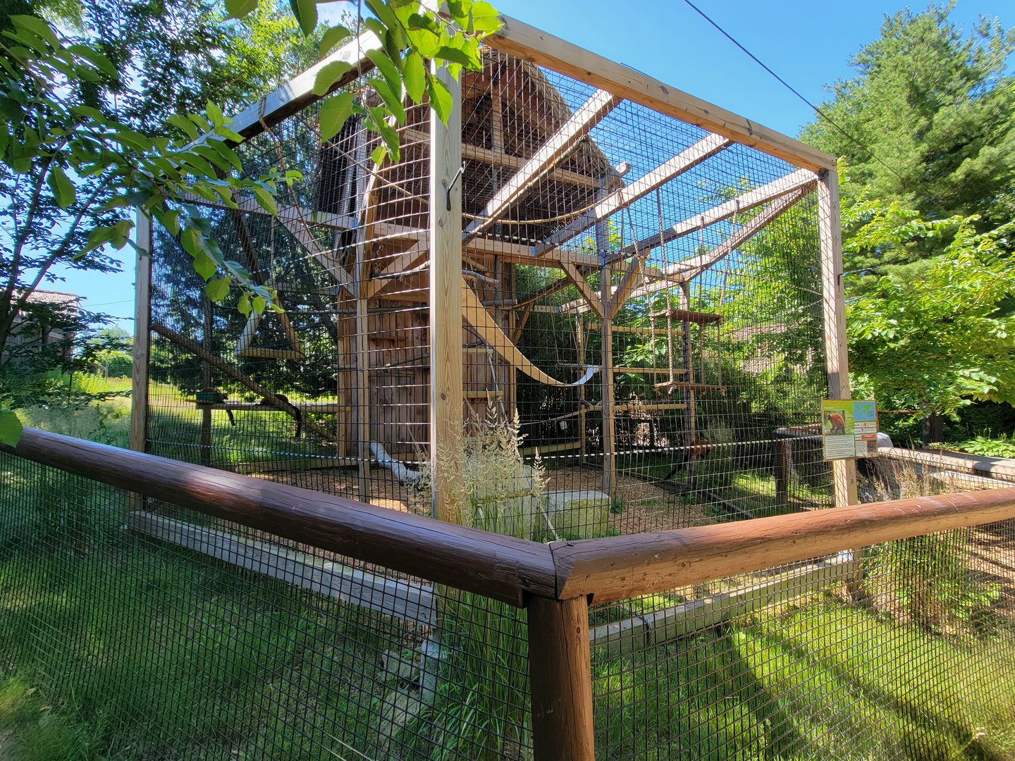 Southwick 7/22 - Red ruffed lemurs