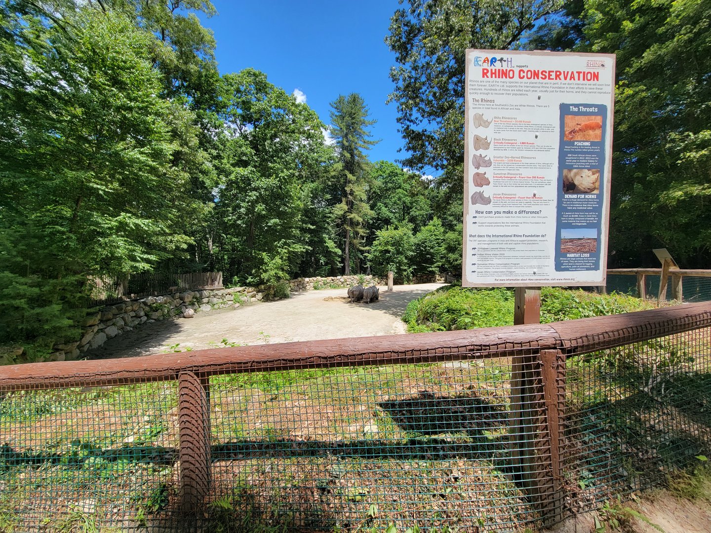 Southwick 7/22 - Rhinos