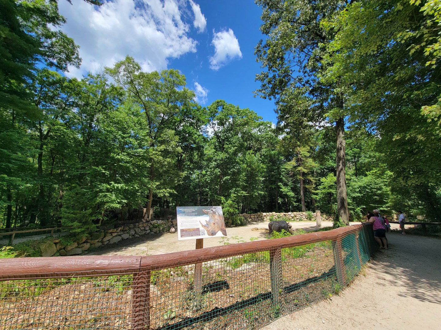 Southwick 7/22 - Rhinos