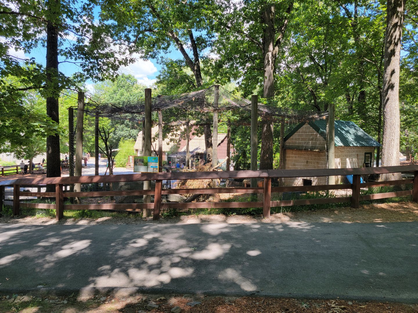 Southwick 7/22 - Serval