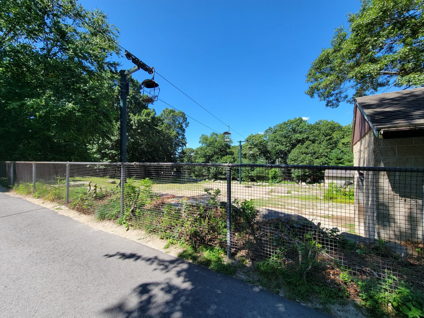 Southwick 7/22 - Skyfari, camel yard