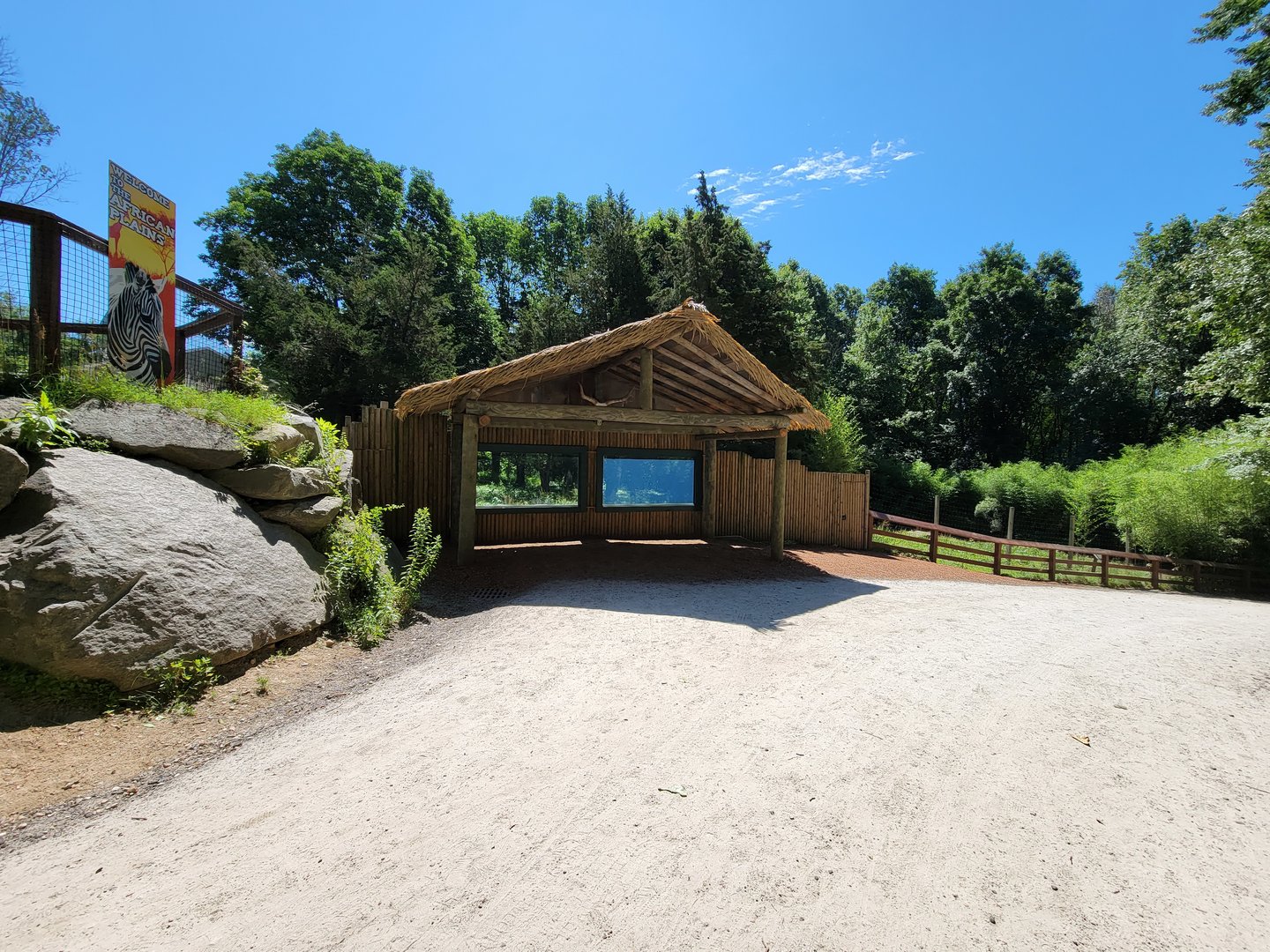 Southwick 7/22 - Spotted hyena