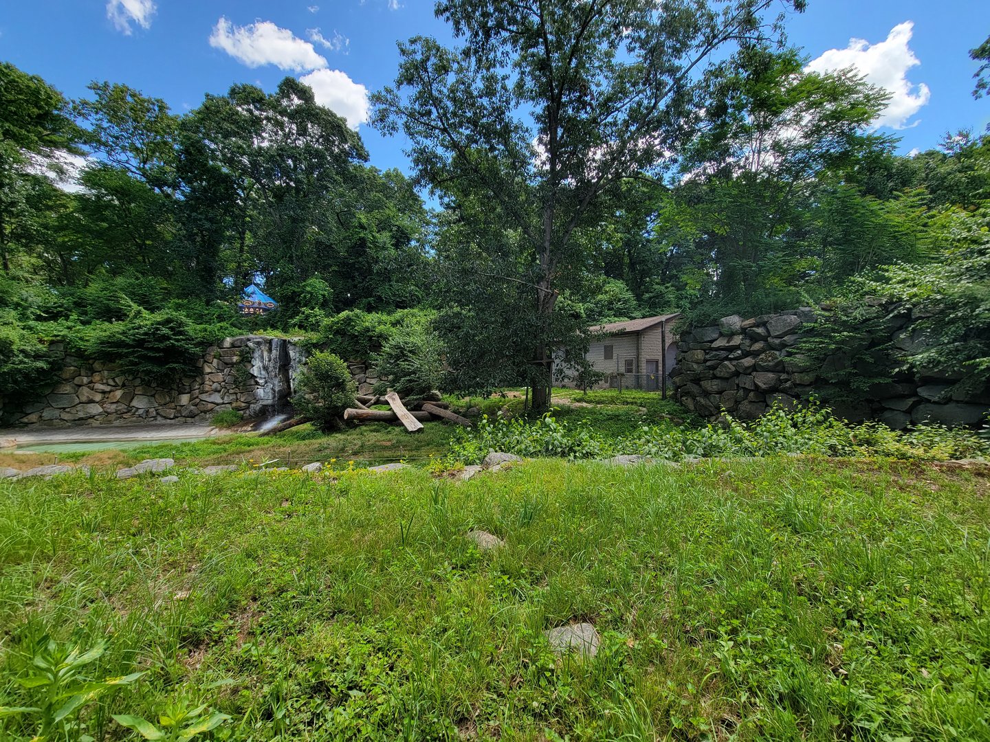 Southwick 7/22 - Tigers