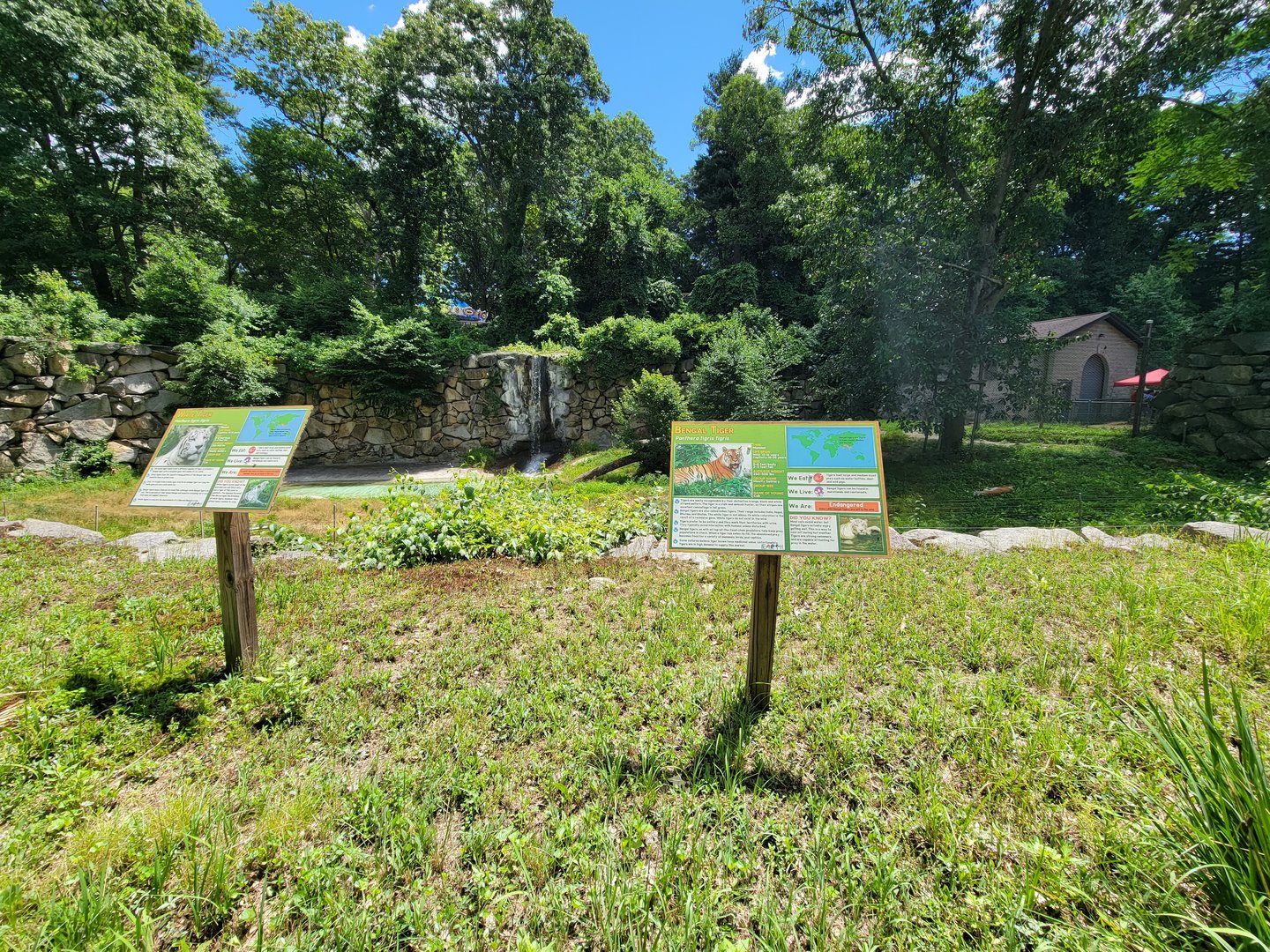 Southwick 7/22 - Tigers