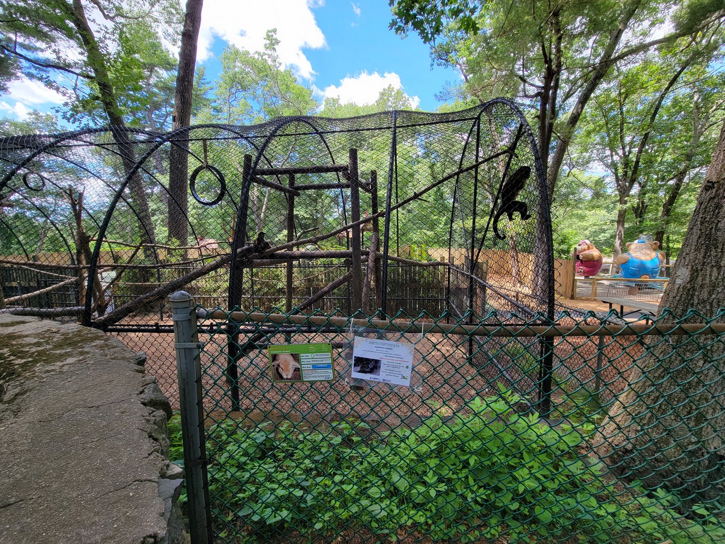 Southwick 7/22 - Tufted capuchin