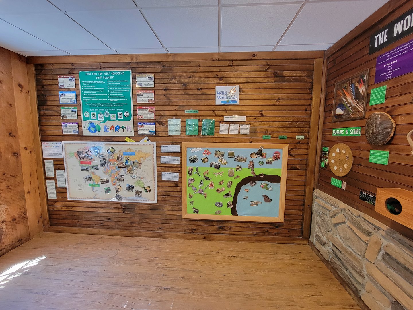 Southwick 7/22 - Wild Wetlands