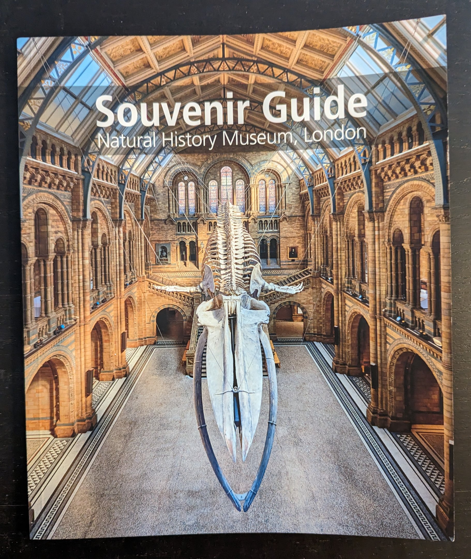 Souvenir Guide: Natural History Museum, London