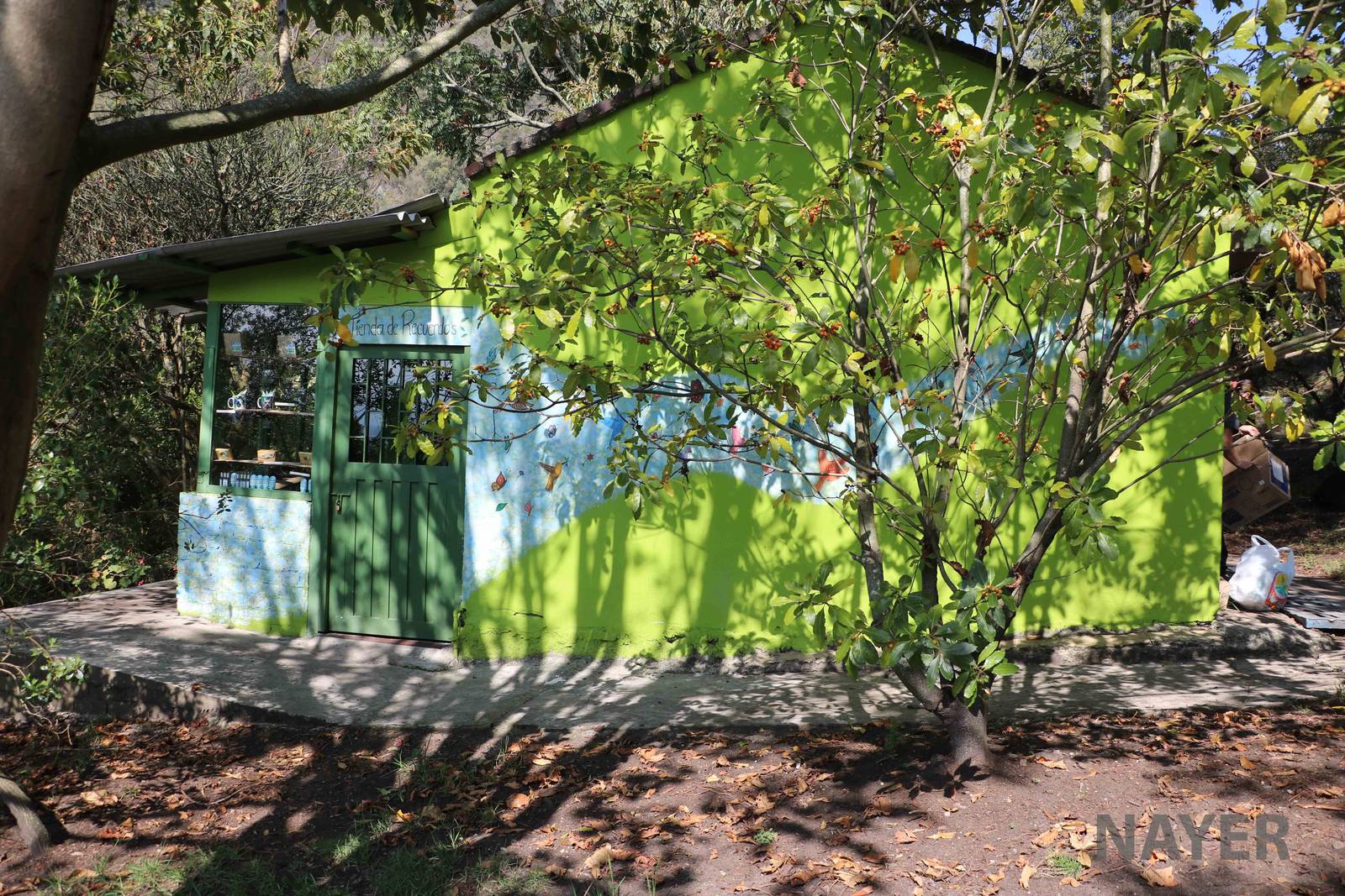 Souvenir shop - Bioparque la Reserva, March 2016