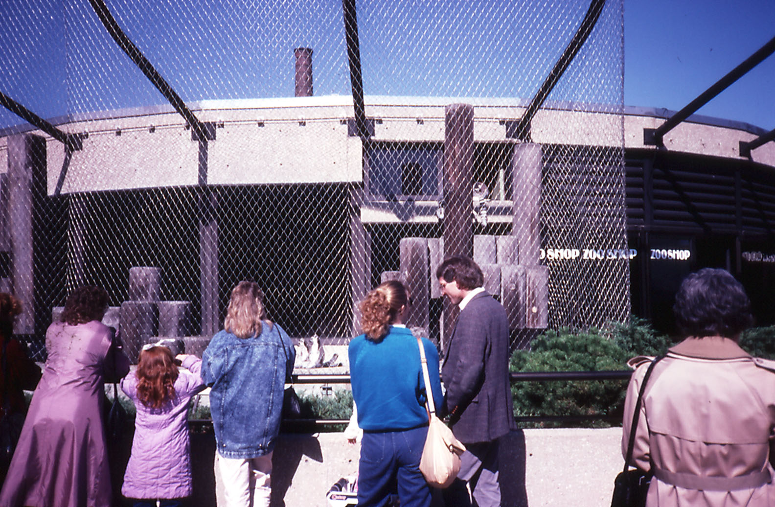 Souvenir shop surrounded by a lemur cage
