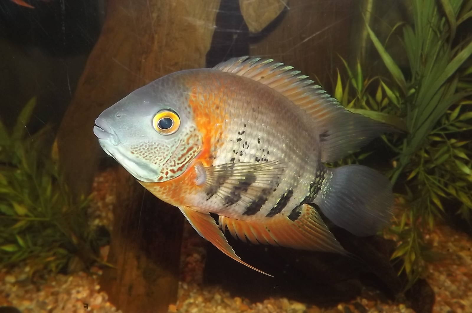 Sp? at SEA LIFE Blackpool 30/06/12