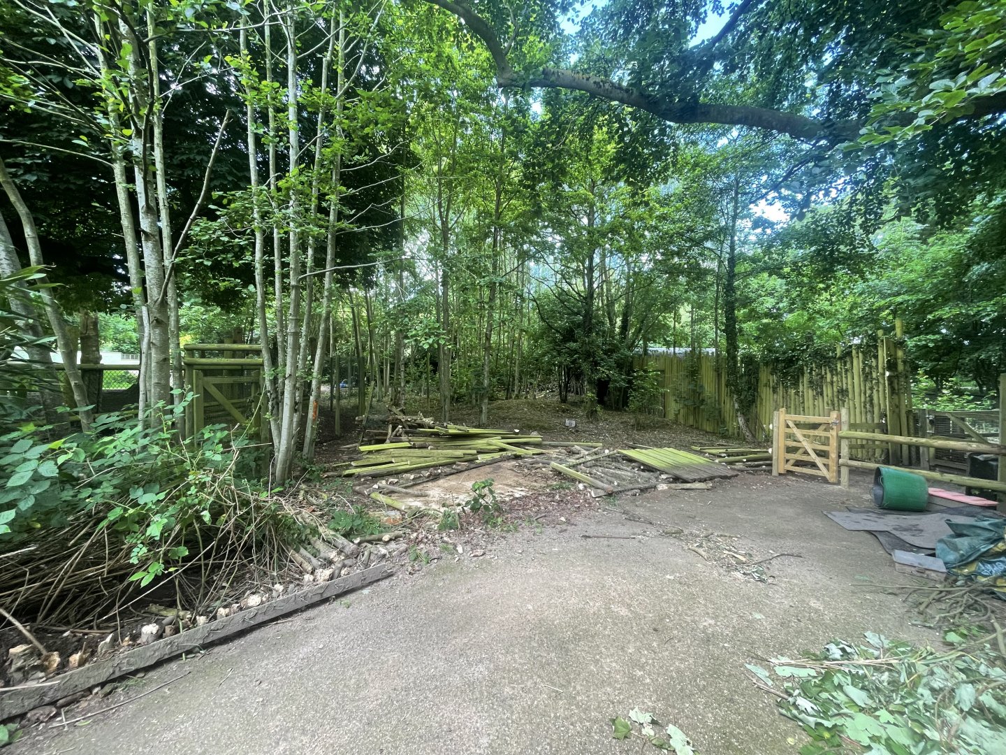 Space Being Cleared Near Tapirs