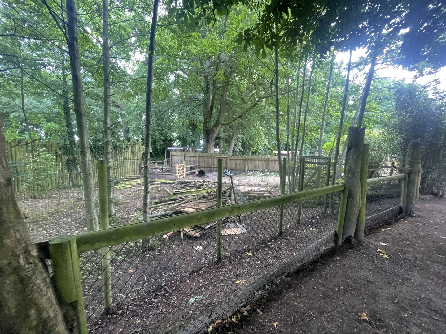 Space Being Cleared Near Tapirs