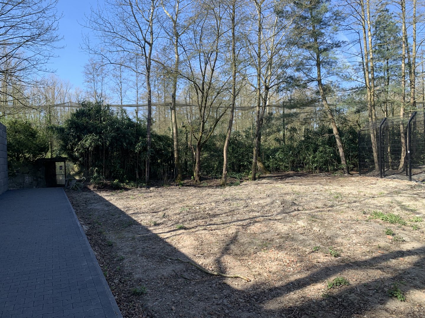 Space for Lemur enclosure