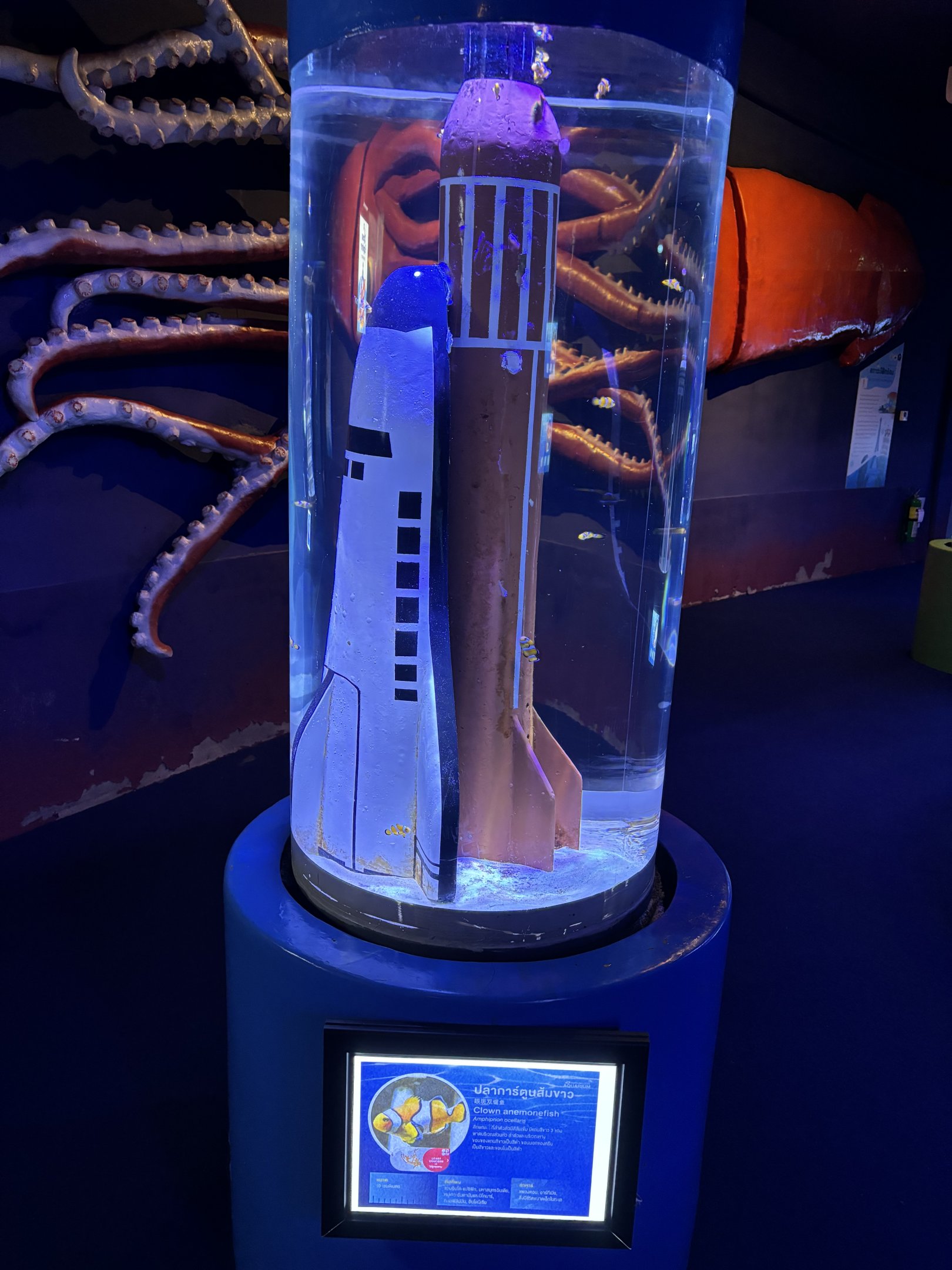 Space Shuttle “Nemo” Tank