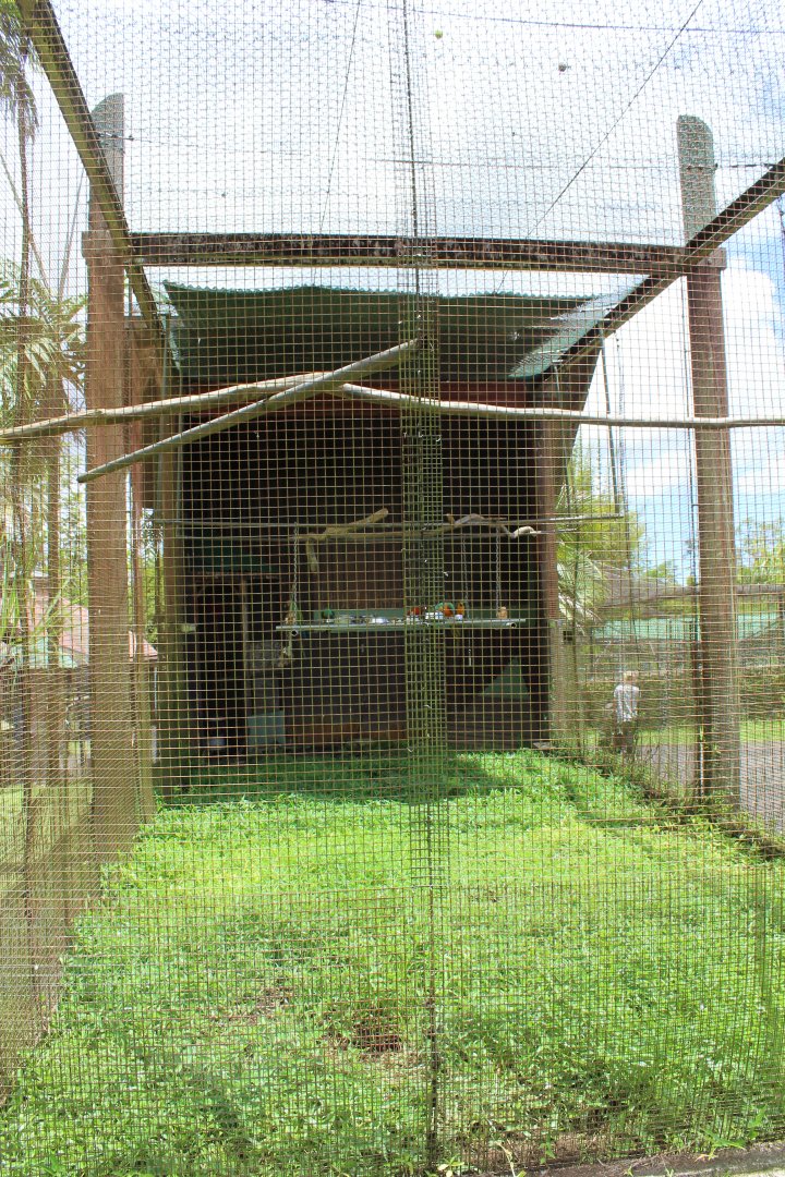 Spacious Macaw Exhibit
