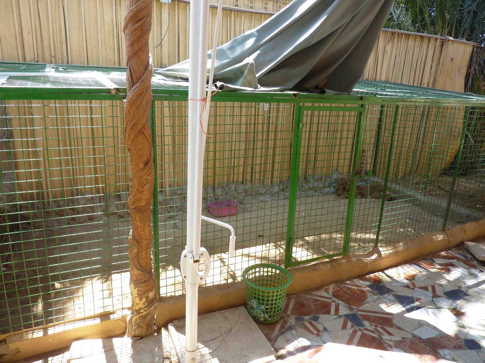 Spaniel enclosure, April 2013.