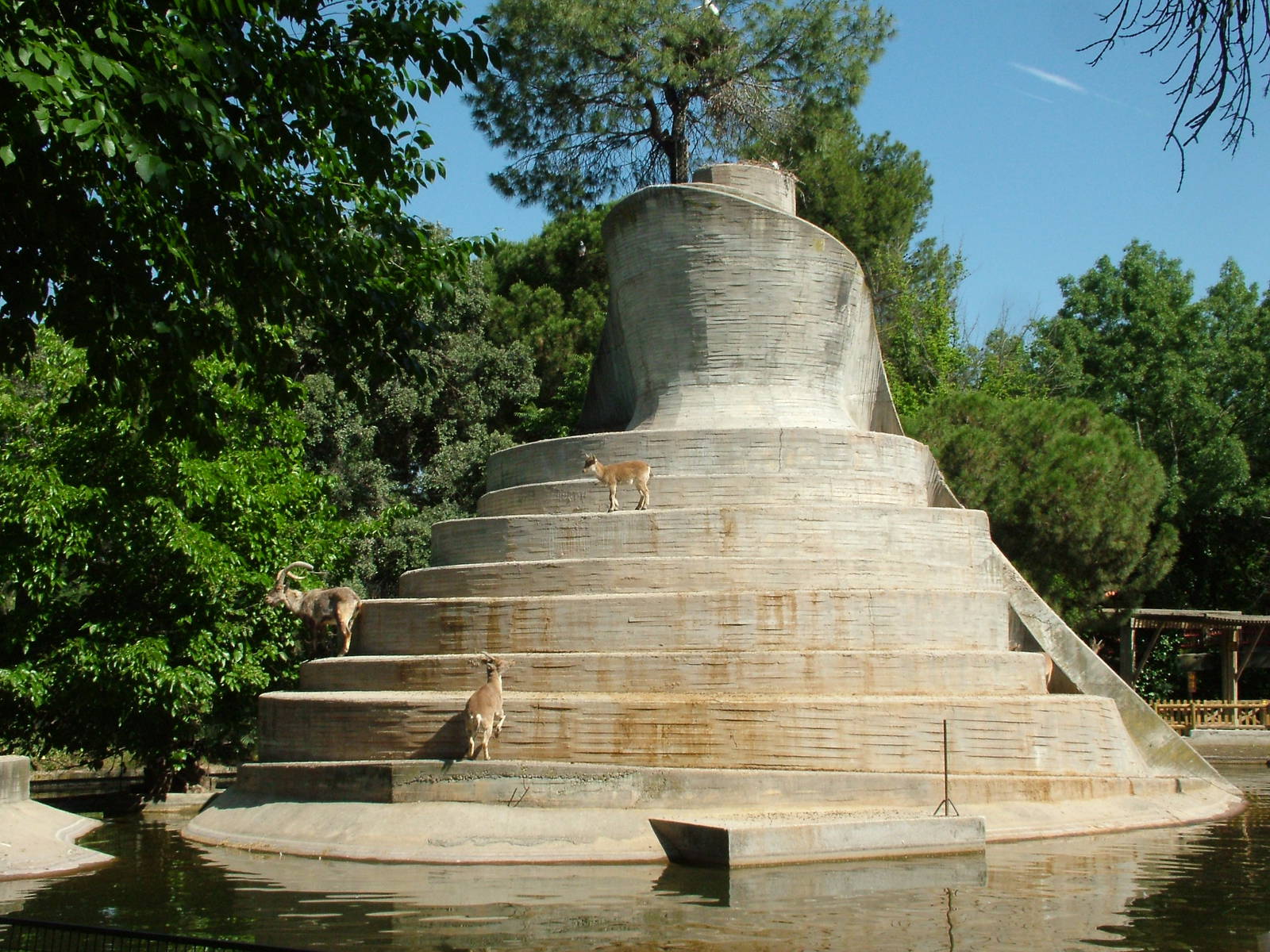 Spanish Ibex Island at Madrid Zoo Aquarium, 26/05/11