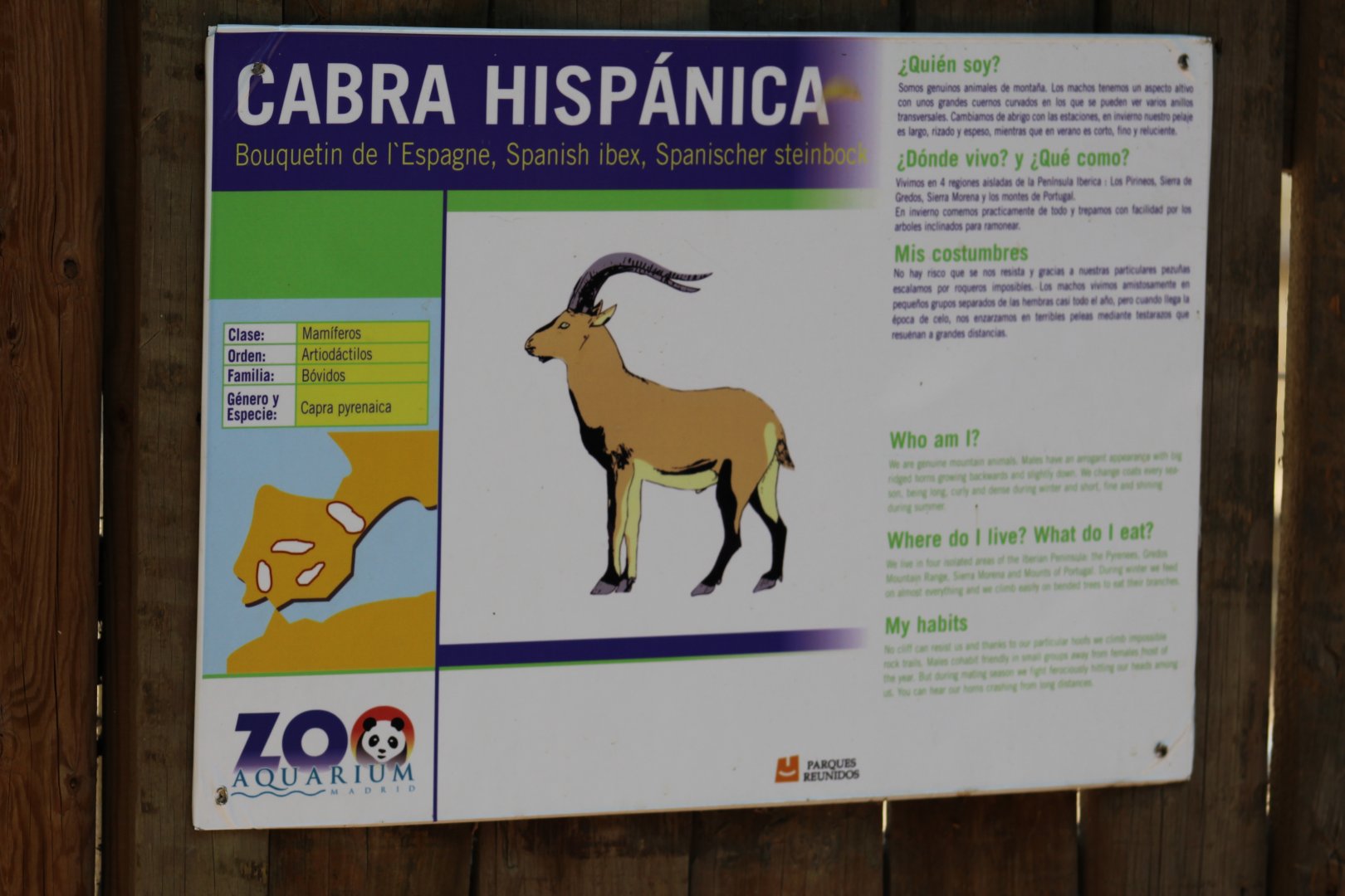 Spanish Ibex Signage