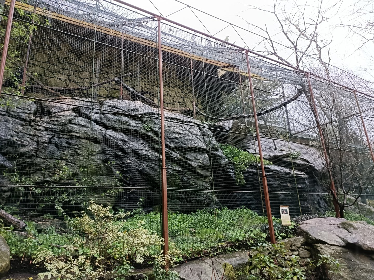 Spanish imperial eagle exhibit - Avifauna Lugo