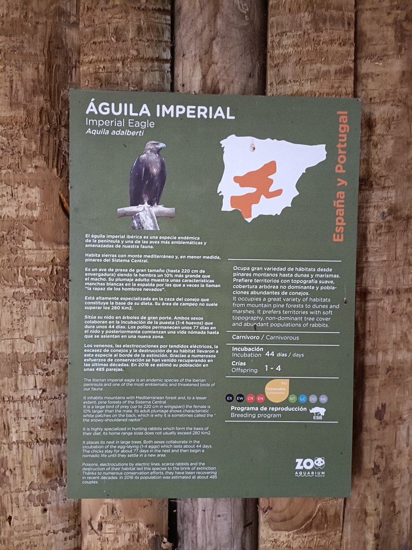 Spanish imperial eagle sign