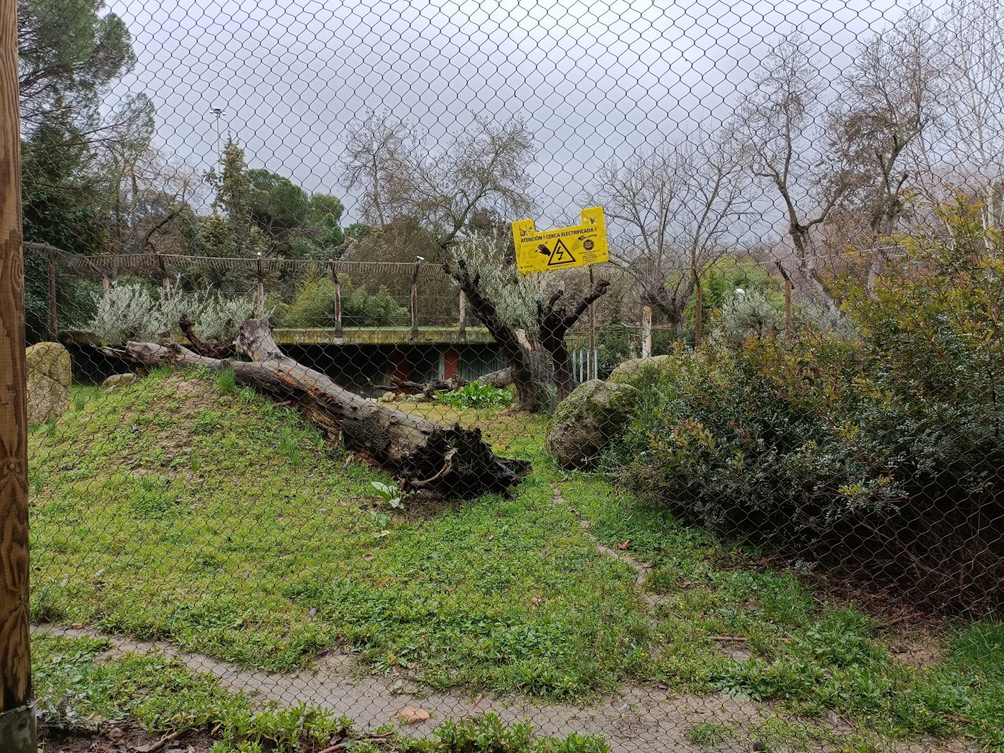 Spanish lynx exhibit