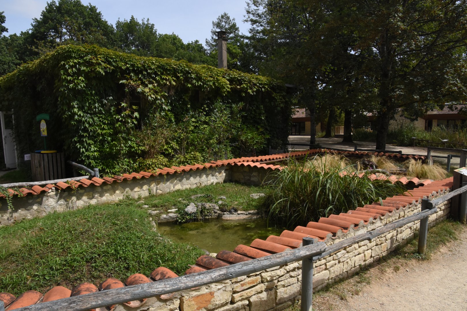 Spanish Pond Turtle enclosure