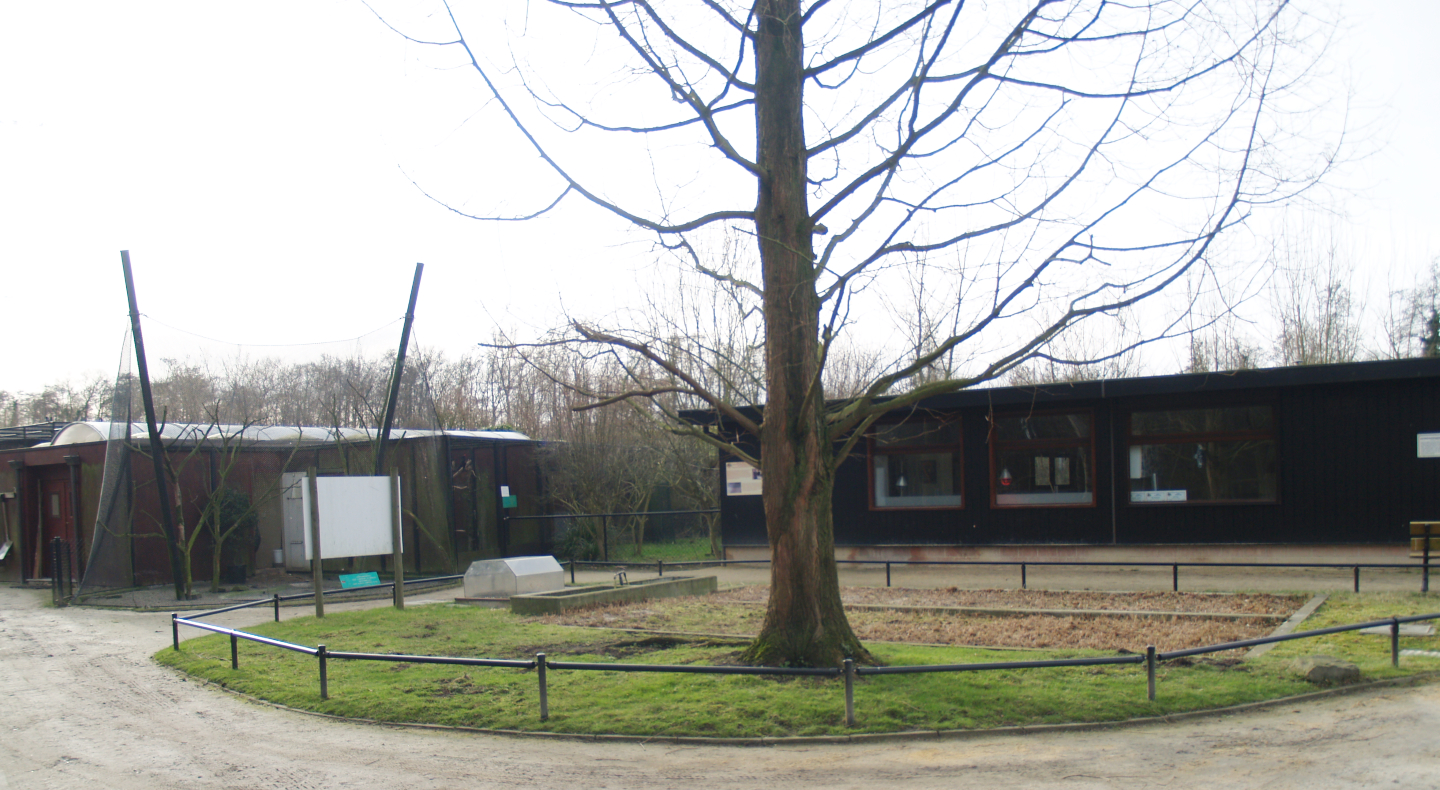 Spare aviary building and Bird nursery building near the former waterfowl breeding area, 2008-02-03