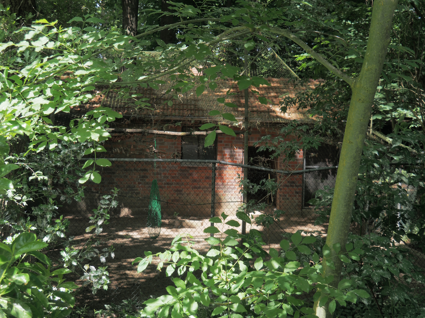 Spare/quarantine exhibit, 2025-05-22