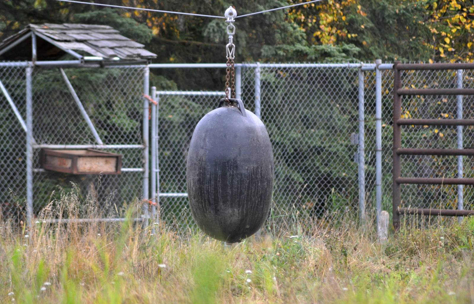 Sparring Bag in Bull Moose Exhibit