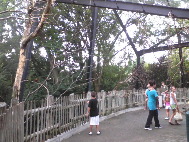 Spaulding Lorikeet Landing