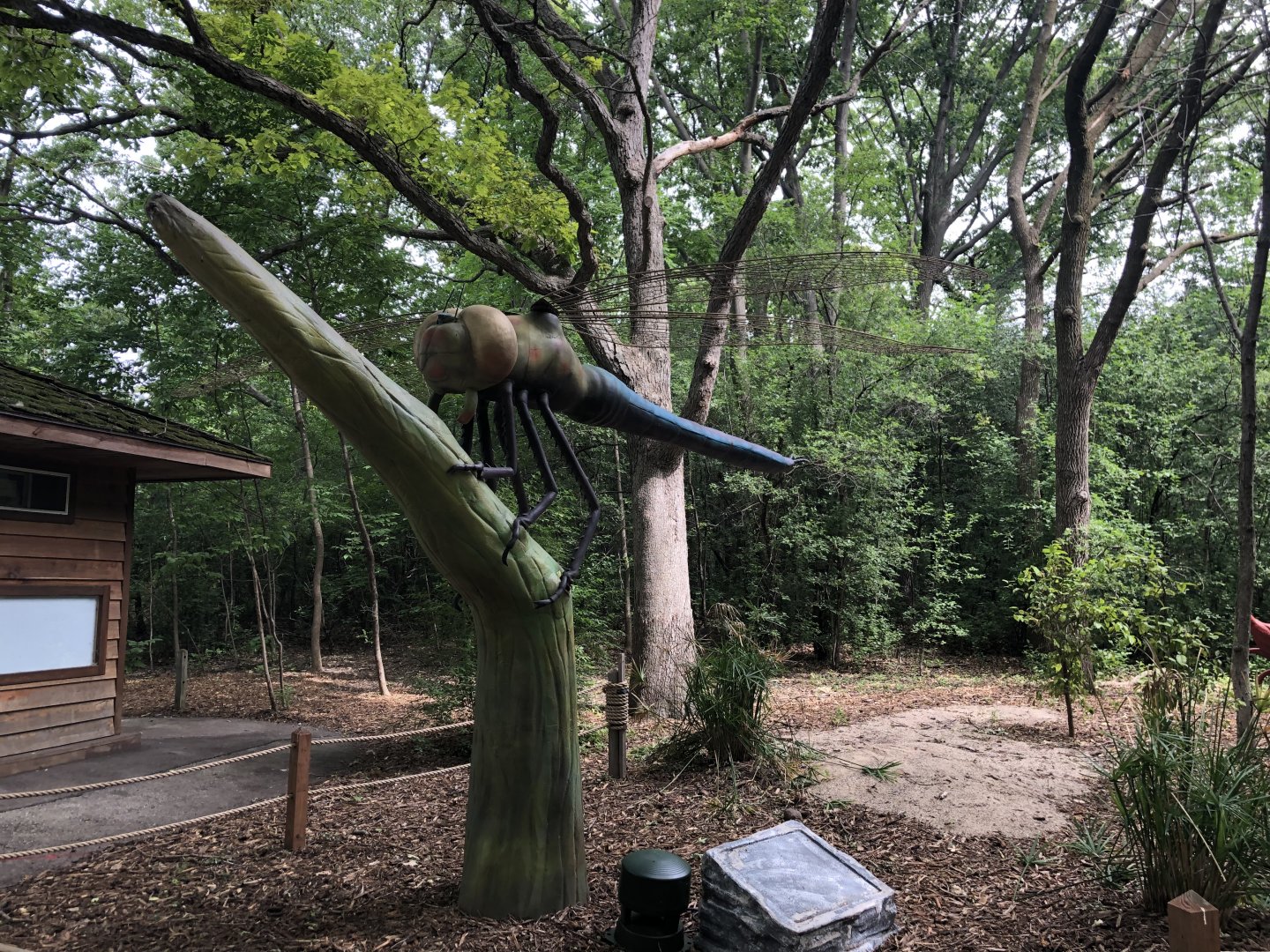 Special Exhibit 2022: Dino Don's Dragon Kingdom