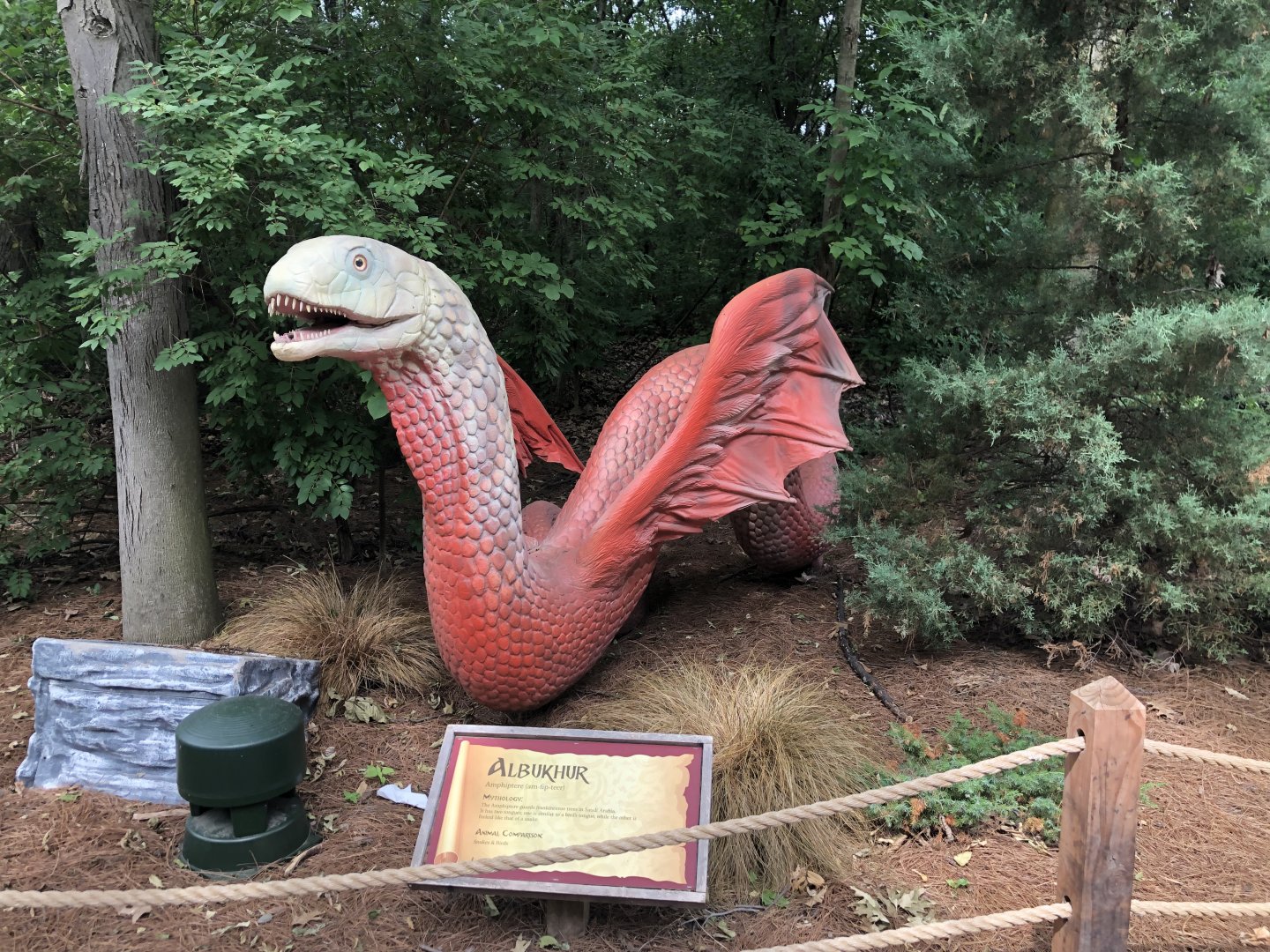 Special Exhibit 2022: Dino Don's Dragon Kingdom