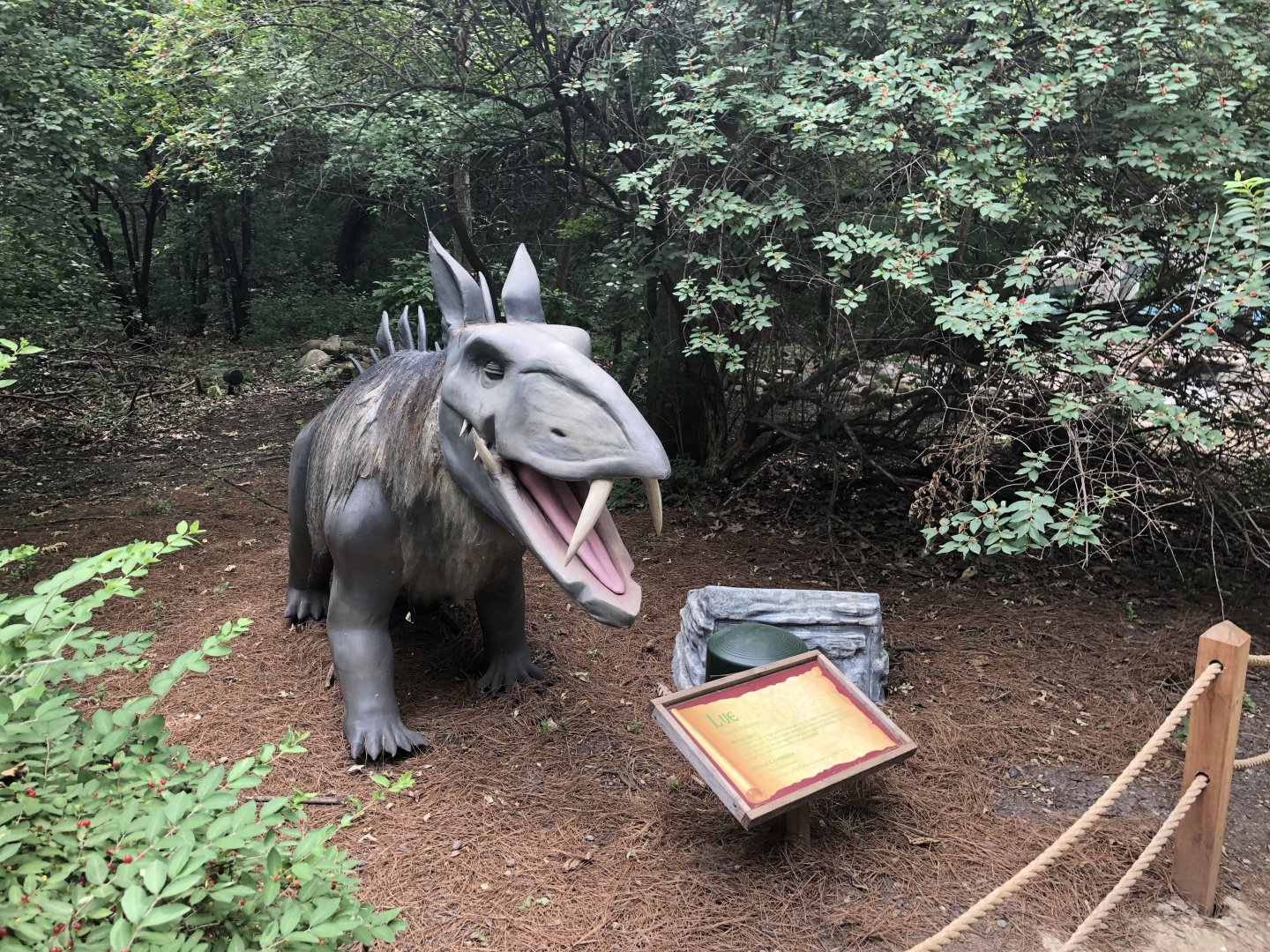 Special Exhibit 2022: Dino Don's Dragon Kingdom