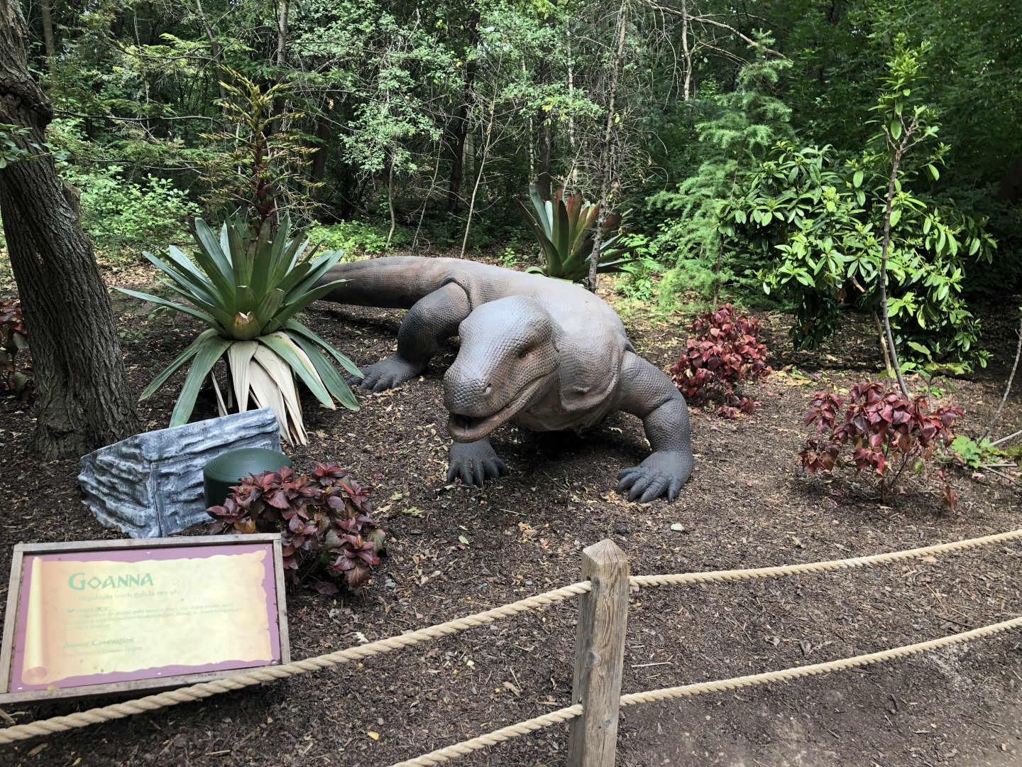 Special Exhibit 2022: Dino Don's Dragon Kingdom