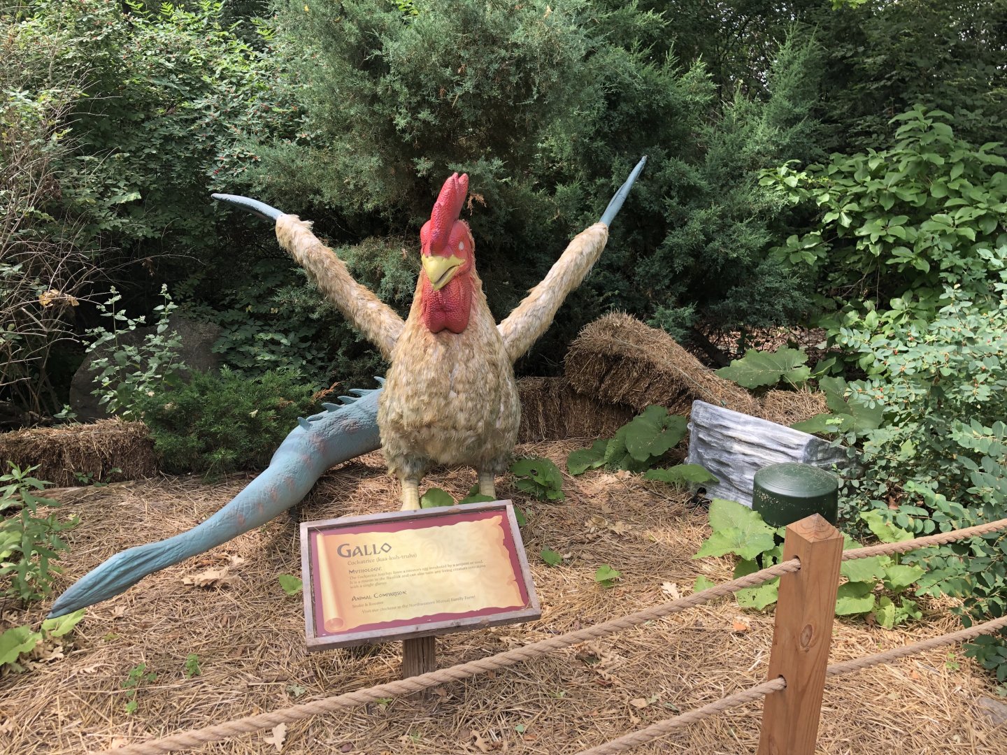 Special Exhibit 2022: Dino Don's Dragon Kingdom