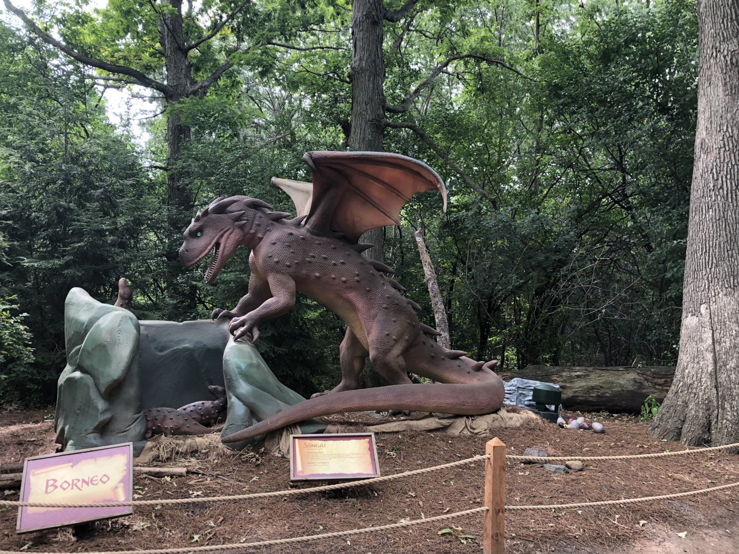 Special Exhibit 2022: Dino Don's Dragon Kingdom