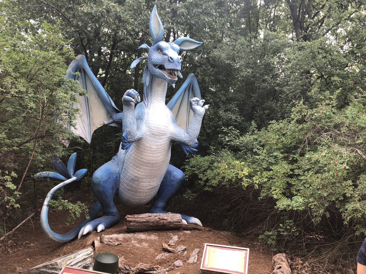 Special Exhibit 2022: Dino Don's Dragon Kingdom