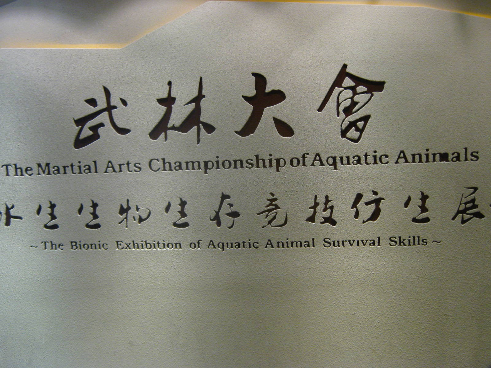 Special Exhibition name