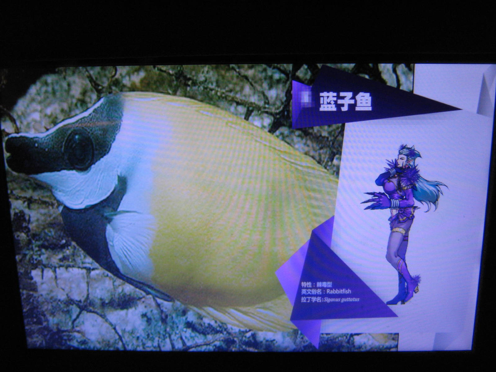 Special Exhibition sign