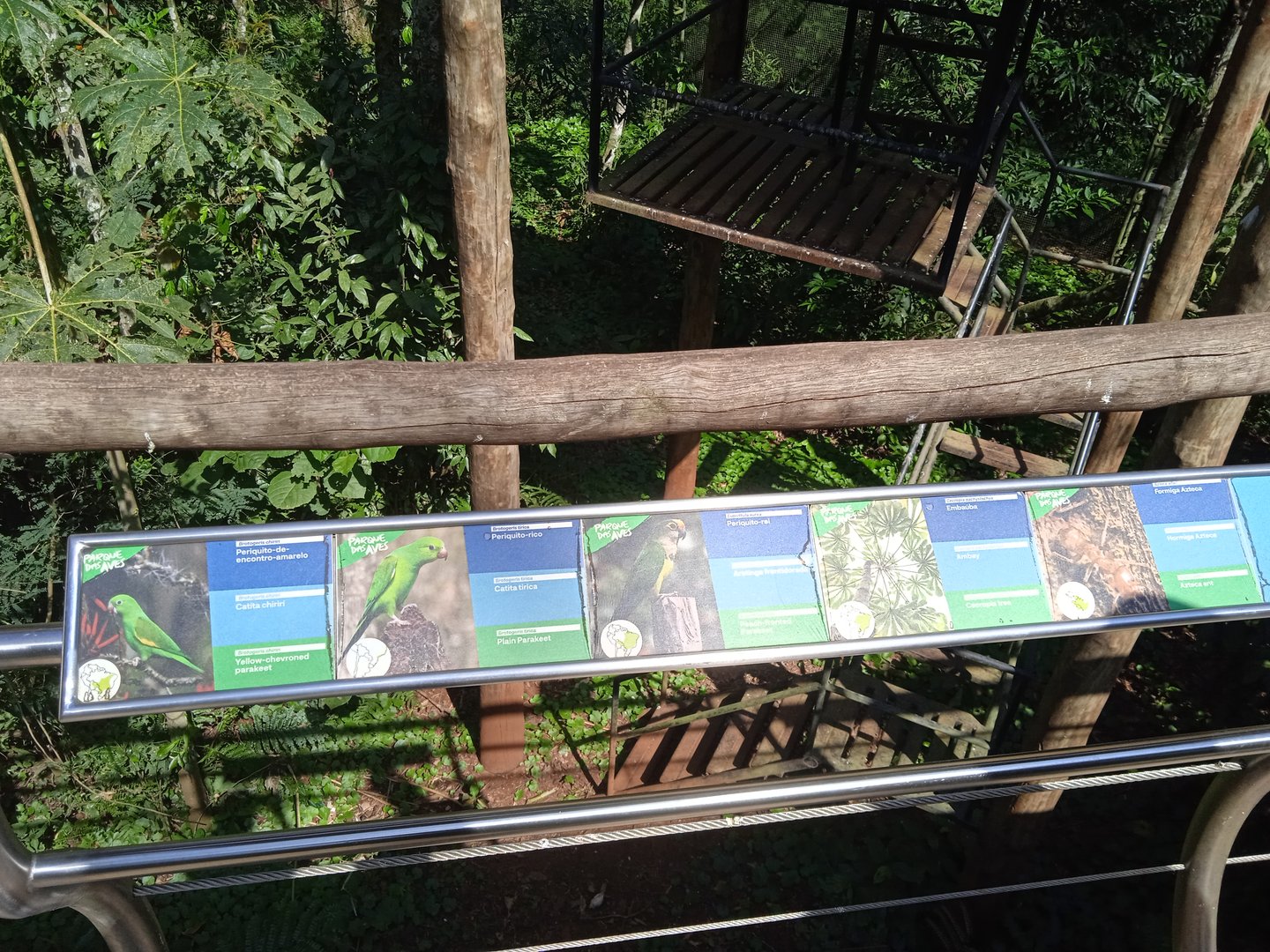 Specie sign in the Cecropia aviary