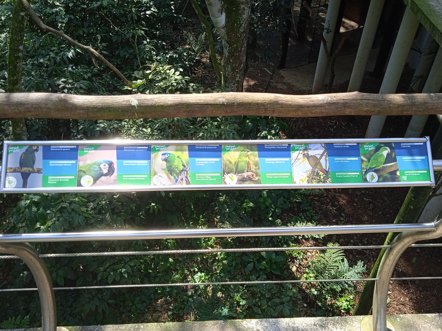 Specie sign in the Cecropia aviary