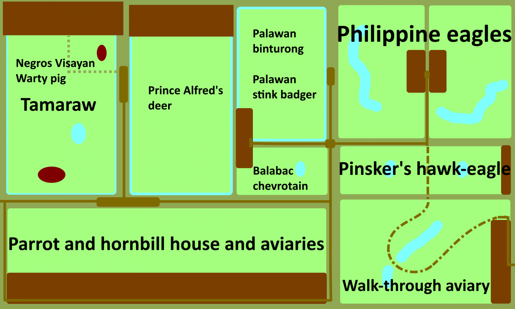 Species Based Exhibits - Tamaraw / Philippine Forest