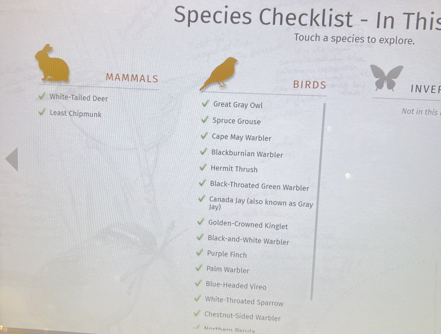 Species checklists for the Diorama