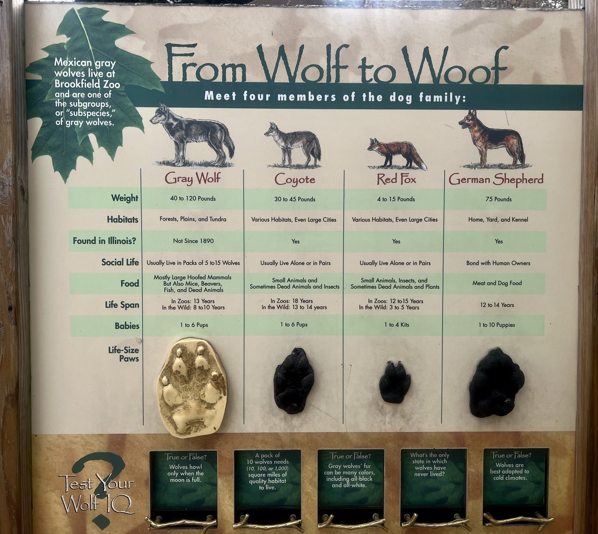 Species comparison sign