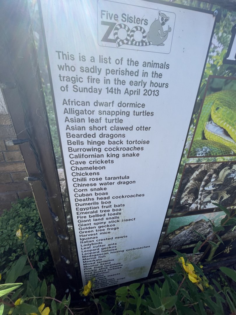 Species killed in the fire