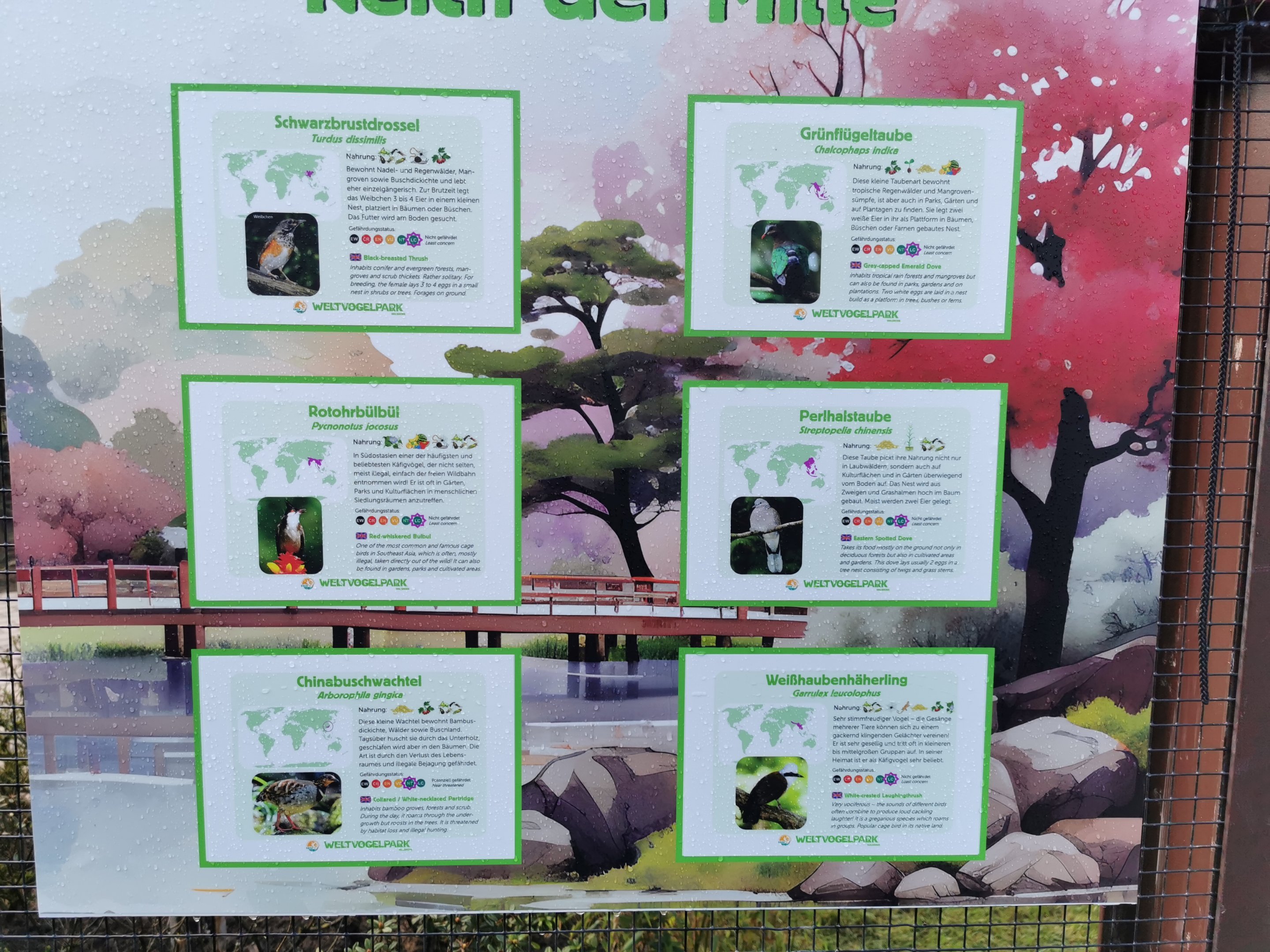 Species list 1 for "Reich der Mitte"