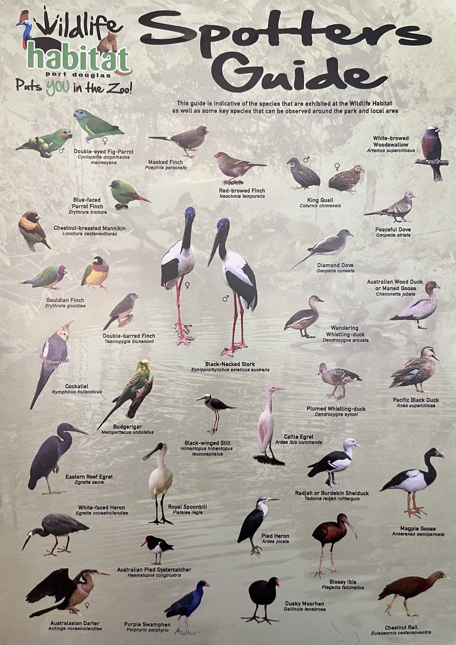 Species List (1 of 4 pages) - 2015