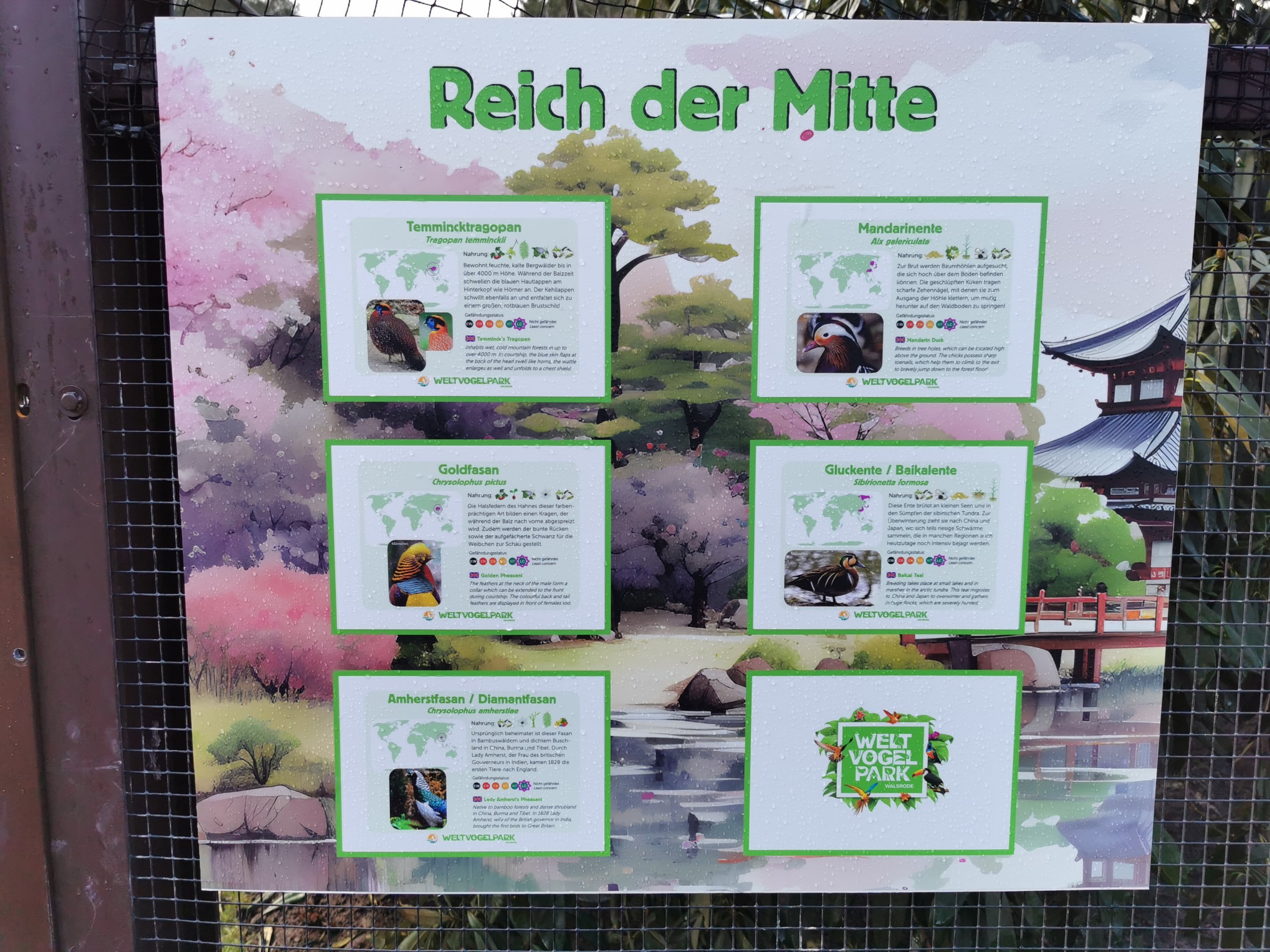 Species list 2 for "Reich der Mitte"