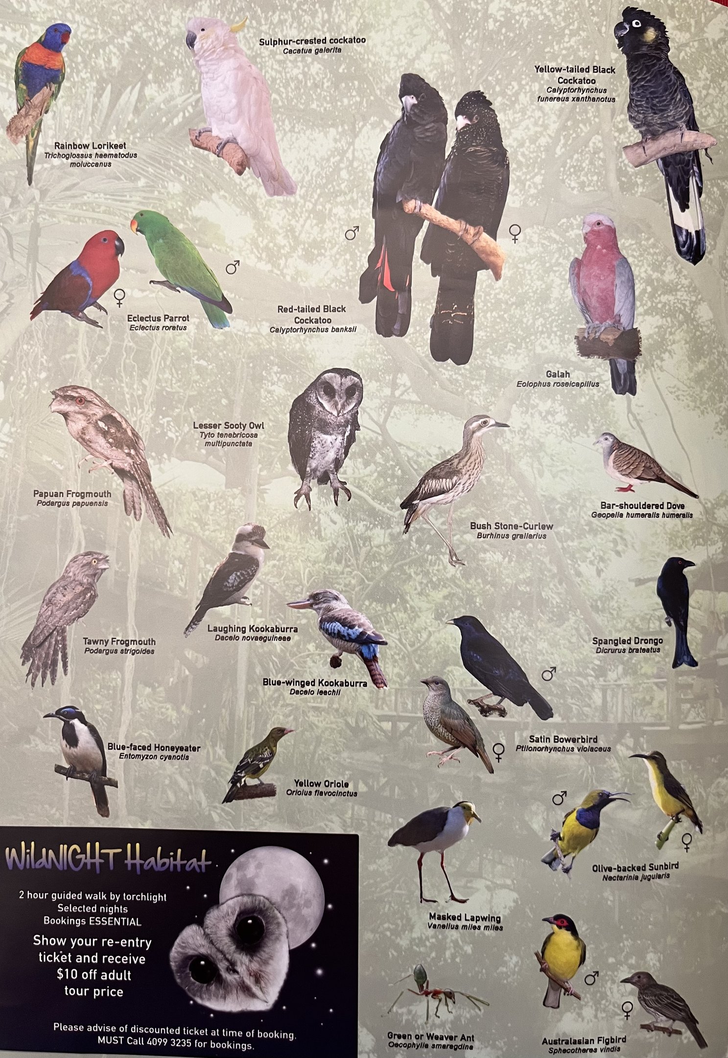 Species List (2 of 4 pages) - 2015