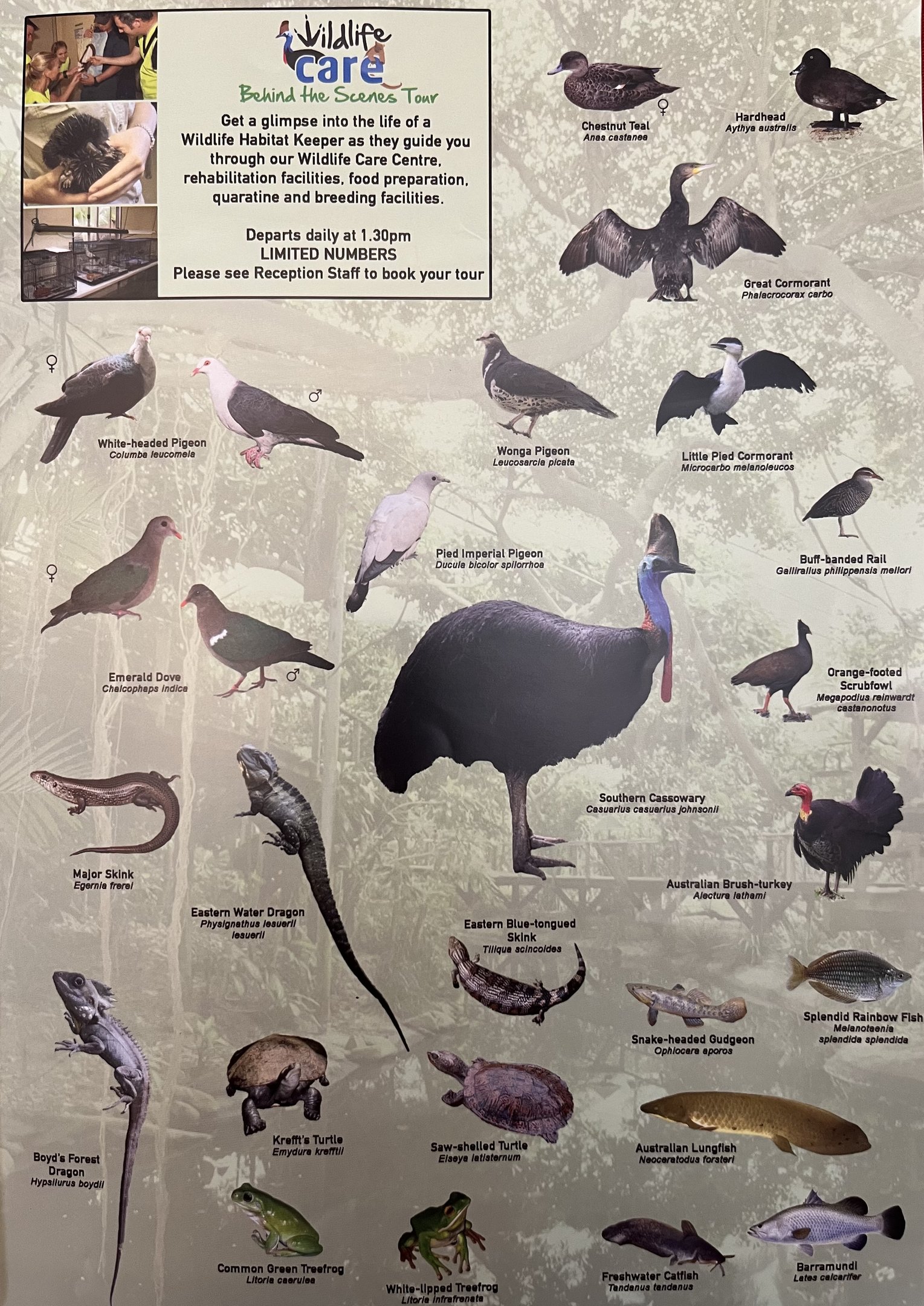 Species List (3 of 4 pages) - 2015